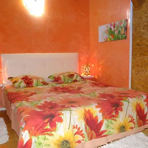  Apartment Orange Flower